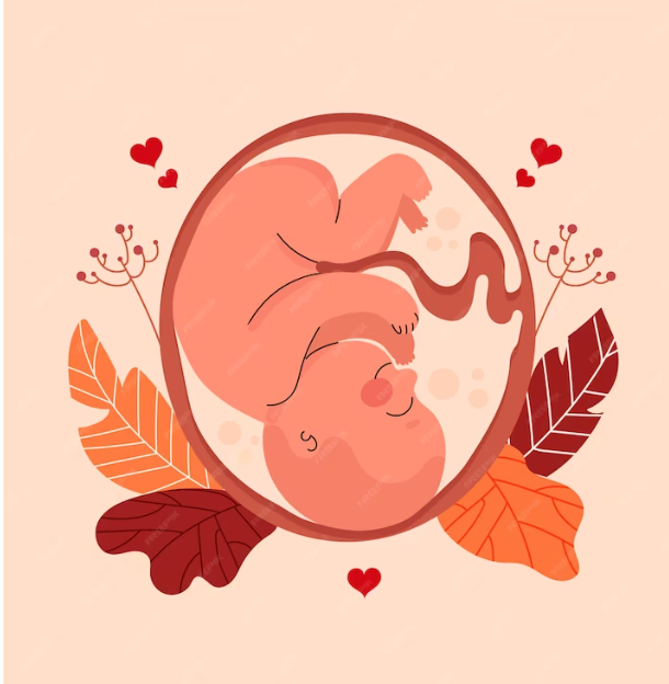 Comprehensive Guide on Placenta Percreta: Know what Medical Research Reveals!