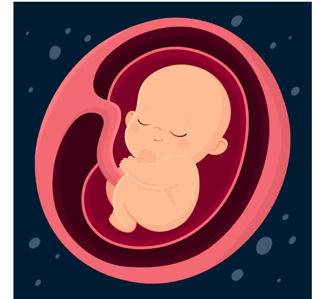 What is Placenta accreta ? Know what the Medical research says!
