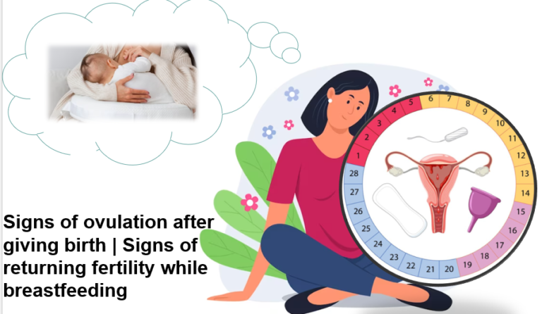 Signs of ovulation after giving birth| Signs of returning fertility  